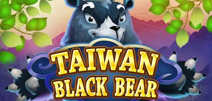 Taiwan Black Bear