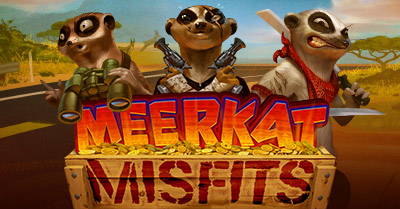 Meerkat Misfits