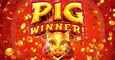 Pig Winner