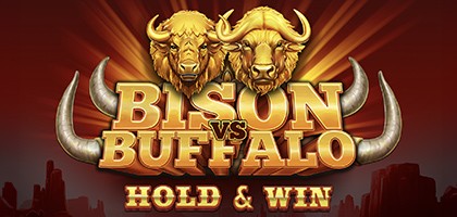 Bison vs Buffalo